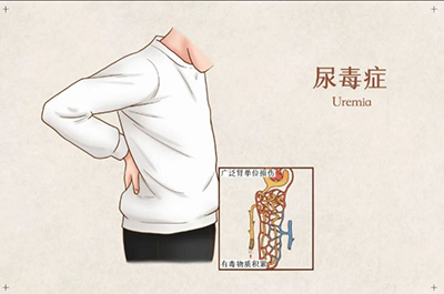 微信图片_2025-10-16_165007_611.png